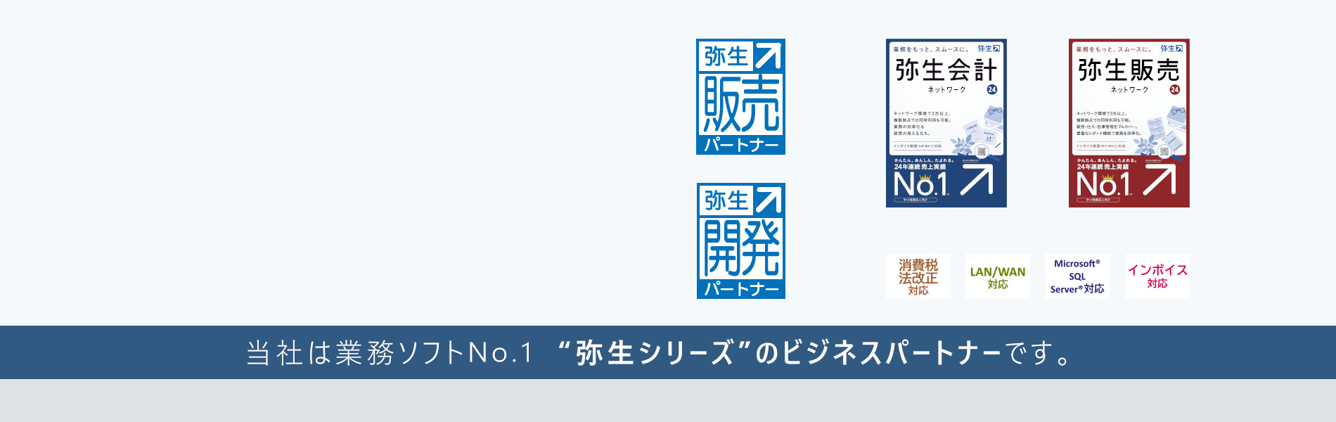 弥生ネットワークの導入